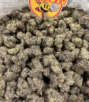 Blow De Coco Cannabis Exotic